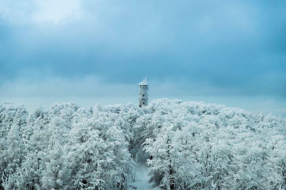 Chalupa Lužické hory Dolni Svetla Exteriér fotografie